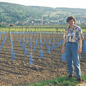 Ulrike Kneller bei einer Jungreben-Anlage